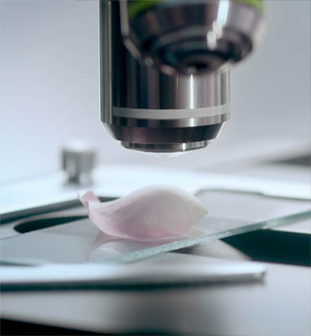 DIOR Skincare Expertise